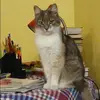 Отзыв от Инга Лапшина